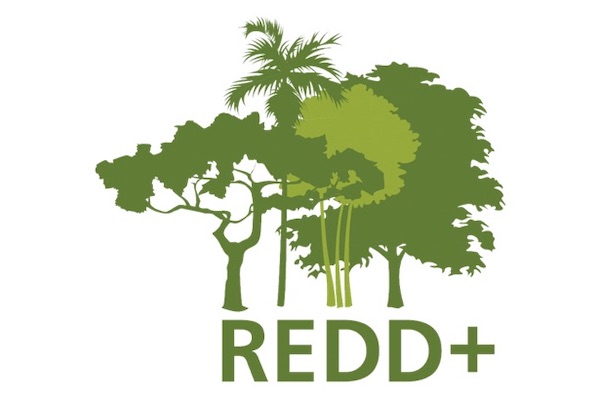 Global Carbon Holding -REDD Logo